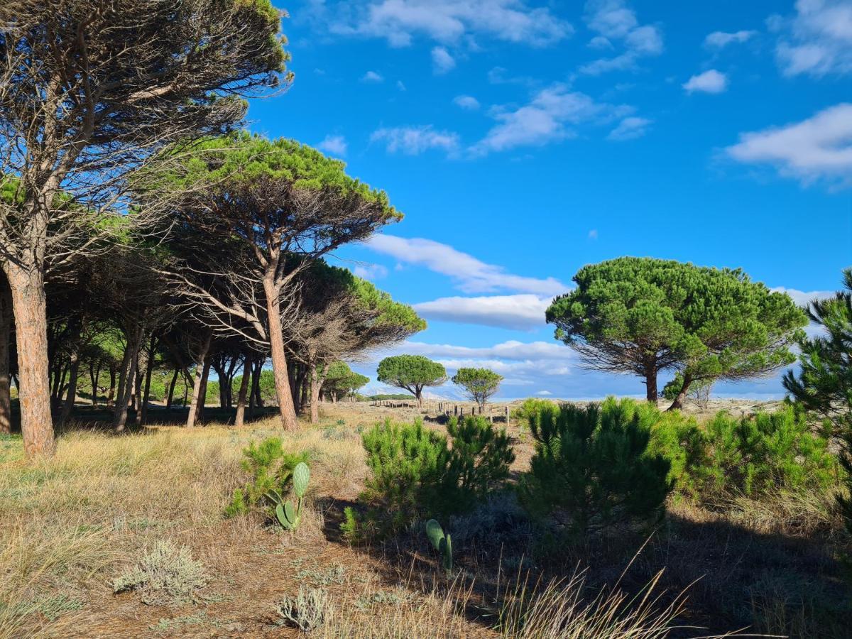 Azienda Agrituristica La Janna Di La Faj Budoni Luaran gambar
