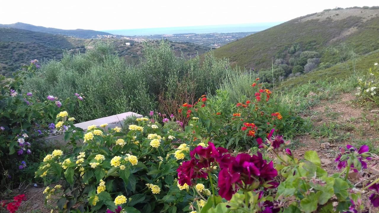 Azienda Agrituristica La Janna Di La Faj Budoni Luaran gambar
