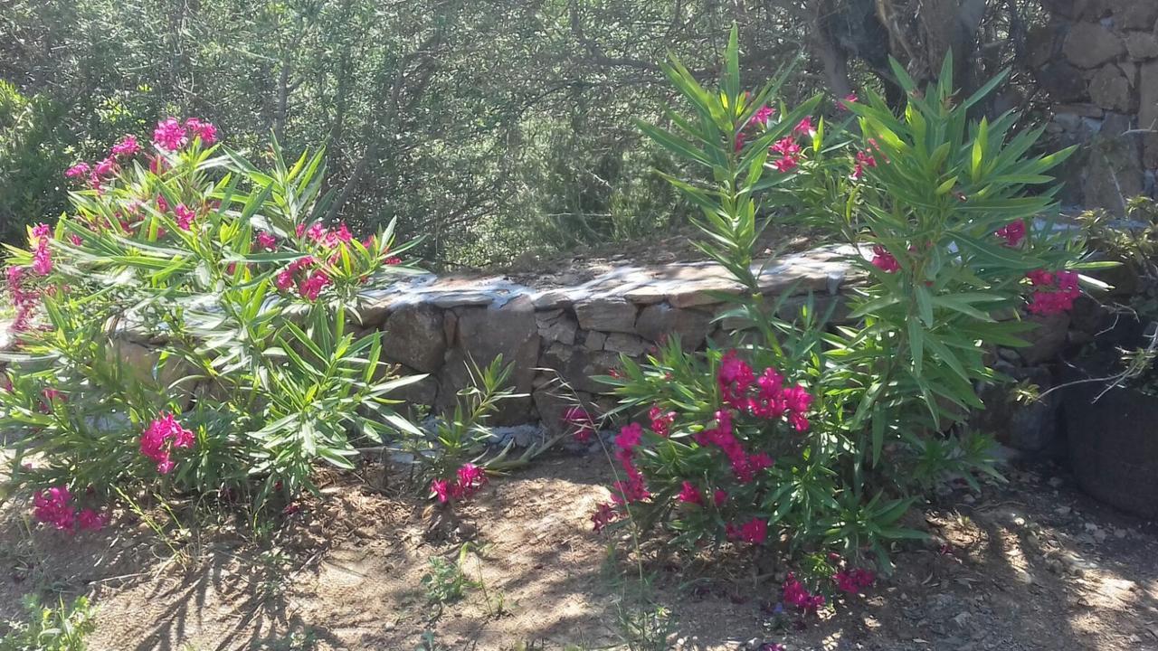 Azienda Agrituristica La Janna Di La Faj Budoni Luaran gambar