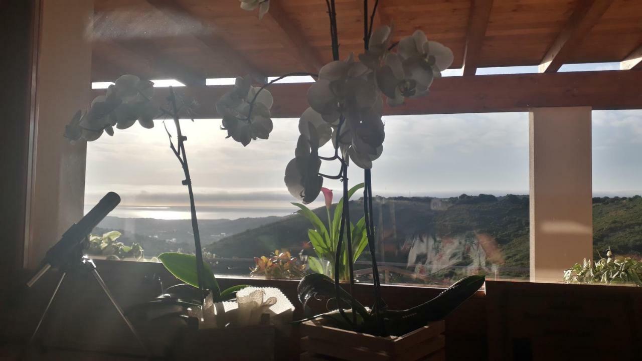 Azienda Agrituristica La Janna Di La Faj Budoni Luaran gambar